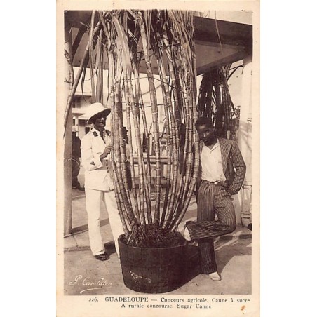 Rare collectable postcards of GUADELOUPE. Vintage Postcards of GUADELOUPE