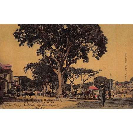 Rare collectable postcards of GUADELOUPE. Vintage Postcards of GUADELOUPE