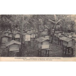 Rare collectable postcards of GUADELOUPE. Vintage Postcards of GUADELOUPE