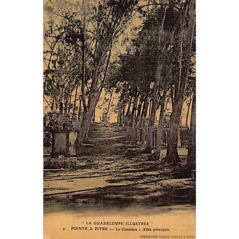 Rare collectable postcards of GUADELOUPE. Vintage Postcards of GUADELOUPE