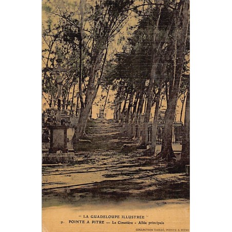 Rare collectable postcards of GUADELOUPE. Vintage Postcards of GUADELOUPE