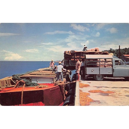 Rare collectable postcards of GUADELOUPE. Vintage Postcards of GUADELOUPE