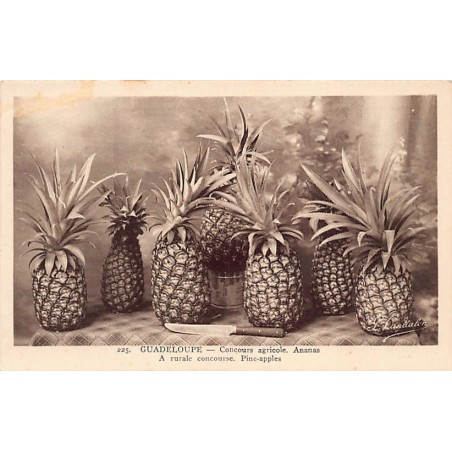 Rare collectable postcards of GUADELOUPE. Vintage Postcards of GUADELOUPE