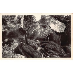 Rare collectable postcards of GUADELOUPE. Vintage Postcards of GUADELOUPE