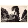 Rare collectable postcards of GUADELOUPE. Vintage Postcards of GUADELOUPE