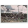 Rare collectable postcards of GUADELOUPE. Vintage Postcards of GUADELOUPE