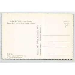 Rare collectable postcards of GUADELOUPE. Vintage Postcards of GUADELOUPE