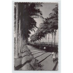 Rare collectable postcards of GUADELOUPE. Vintage Postcards of GUADELOUPE