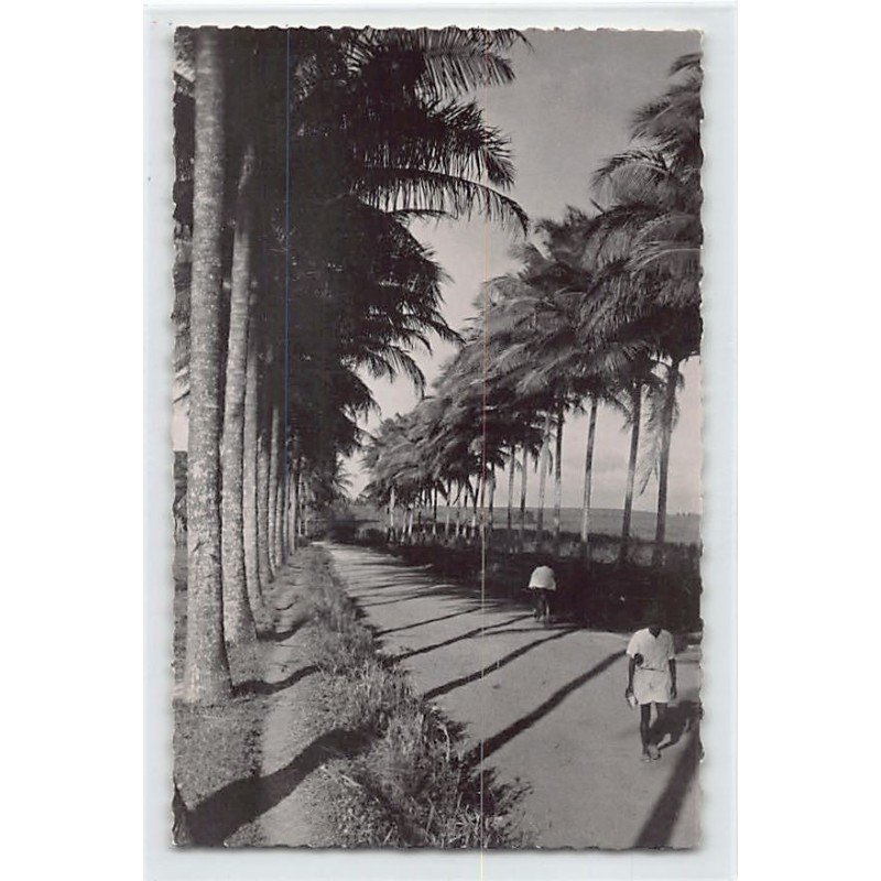 Rare collectable postcards of GUADELOUPE. Vintage Postcards of GUADELOUPE