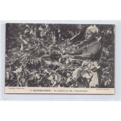 Rare collectable postcards of GUADELOUPE. Vintage Postcards of GUADELOUPE