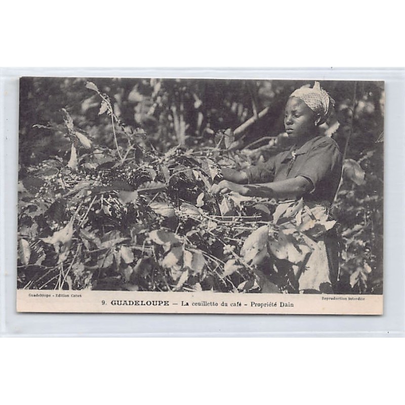 Rare collectable postcards of GUADELOUPE. Vintage Postcards of GUADELOUPE