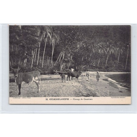 Rare collectable postcards of GUADELOUPE. Vintage Postcards of GUADELOUPE