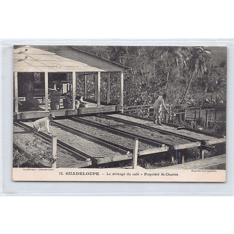 Rare collectable postcards of GUADELOUPE. Vintage Postcards of GUADELOUPE