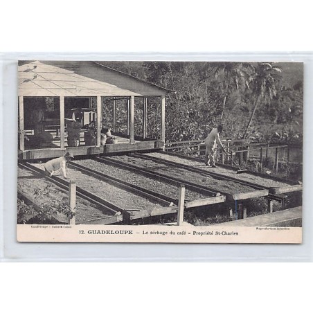 Rare collectable postcards of GUADELOUPE. Vintage Postcards of GUADELOUPE