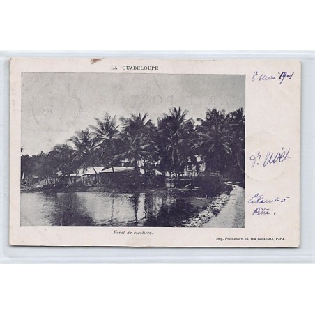 Rare collectable postcards of GUADELOUPE. Vintage Postcards of GUADELOUPE