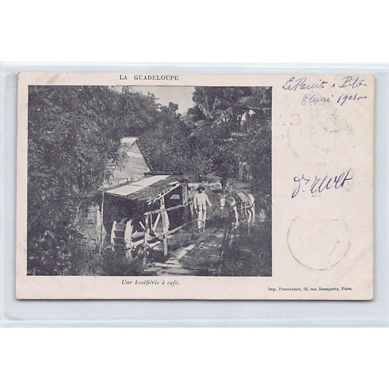 Rare collectable postcards of GUADELOUPE. Vintage Postcards of GUADELOUPE