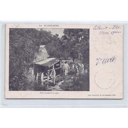 Rare collectable postcards of GUADELOUPE. Vintage Postcards of GUADELOUPE