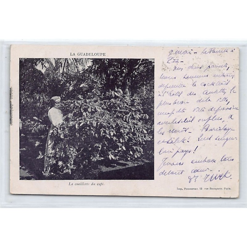 Rare collectable postcards of GUADELOUPE. Vintage Postcards of GUADELOUPE