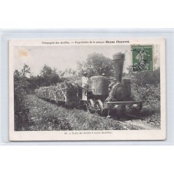 Rare collectable postcards of GUADELOUPE. Vintage Postcards of GUADELOUPE