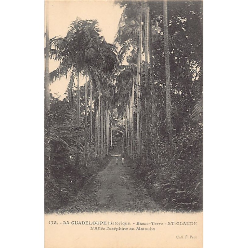 Rare collectable postcards of GUADELOUPE. Vintage Postcards of GUADELOUPE