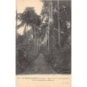Rare collectable postcards of GUADELOUPE. Vintage Postcards of GUADELOUPE