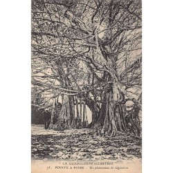 Rare collectable postcards of GUADELOUPE. Vintage Postcards of GUADELOUPE