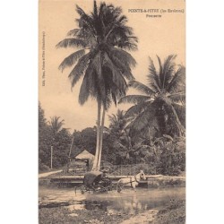 Rare collectable postcards of GUADELOUPE. Vintage Postcards of GUADELOUPE
