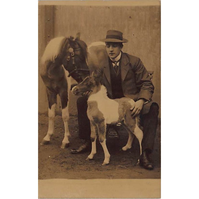 Rare collectable postcards of BELGIUM Belgique België. Vintage Postcards of BELGIUM Belgique België