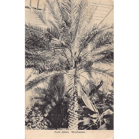 Kenya - MOMBASA - Palm Dates - Publ. Felix Coutinho