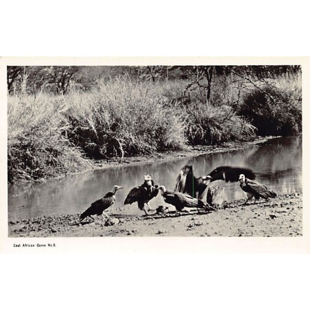 Rare collectable postcards of KENYA. Vintage Postcards of KENYA