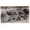 Rare collectable postcards of KENYA. Vintage Postcards of KENYA