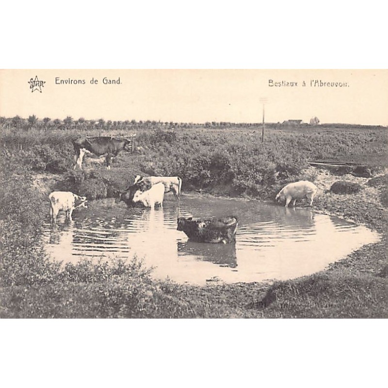 Rare collectable postcards of BELGIUM Belgique België. Vintage Postcards of BELGIUM Belgique België