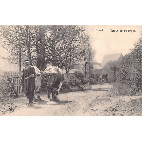 Rare collectable postcards of BELGIUM Belgique België. Vintage Postcards of BELGIUM Belgique België