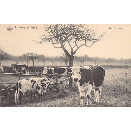 Rare collectable postcards of BELGIUM Belgique België. Vintage Postcards of BELGIUM Belgique België