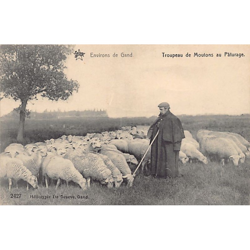 Rare collectable postcards of BELGIUM Belgique België. Vintage Postcards of BELGIUM Belgique België