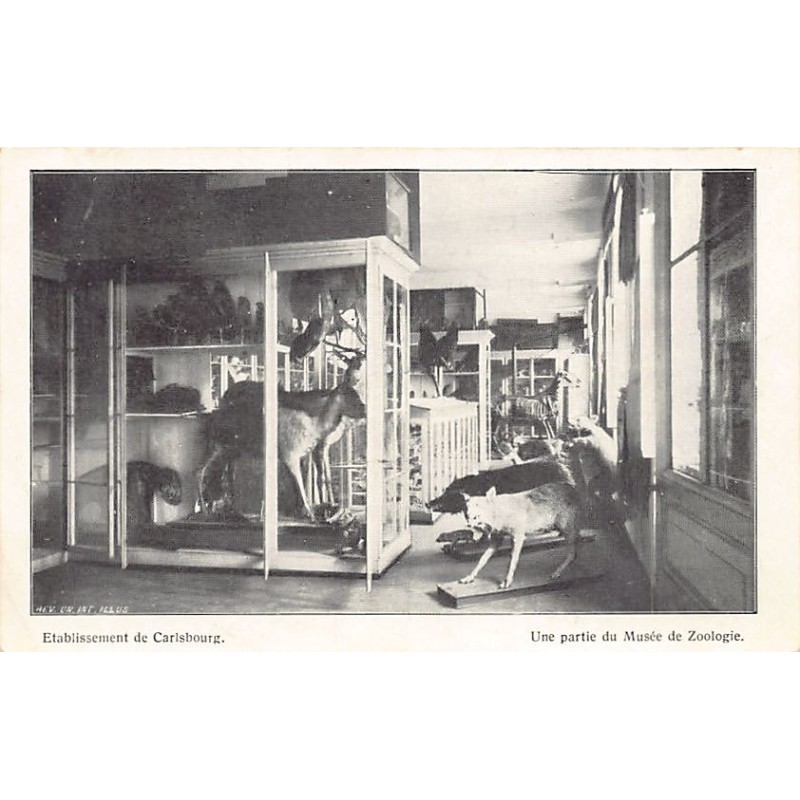 Rare collectable postcards of BELGIUM Belgique België. Vintage Postcards of BELGIUM Belgique België