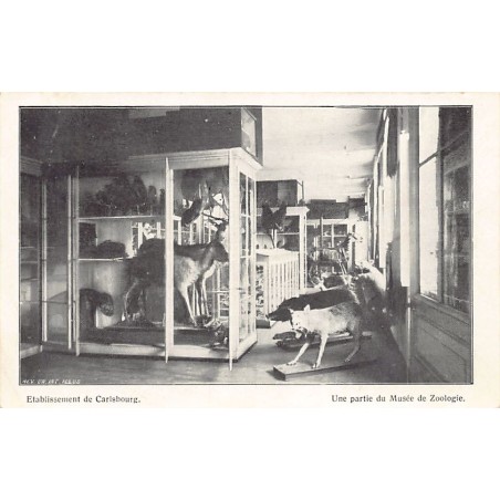 Rare collectable postcards of BELGIUM Belgique België. Vintage Postcards of BELGIUM Belgique België