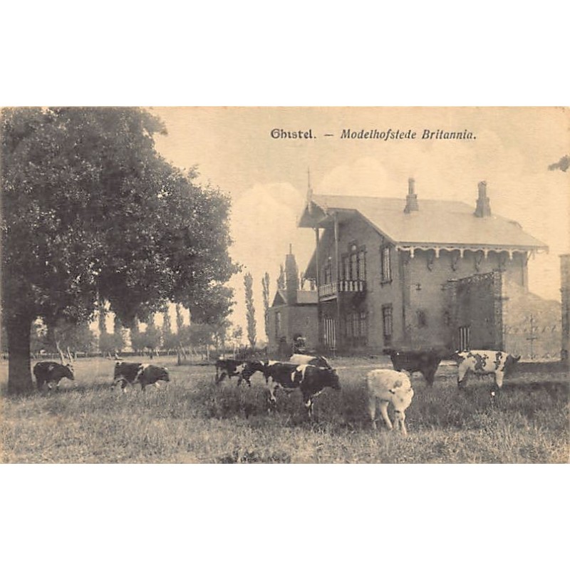 Rare collectable postcards of BELGIUM Belgique België. Vintage Postcards of BELGIUM Belgique België