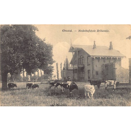 Rare collectable postcards of BELGIUM Belgique België. Vintage Postcards of BELGIUM Belgique België