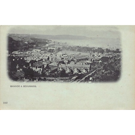 Rare collectable postcards of WALES. Vintage Postcards of WALES