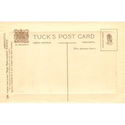 Rare collectable postcards of WALES. Vintage Postcards of WALES