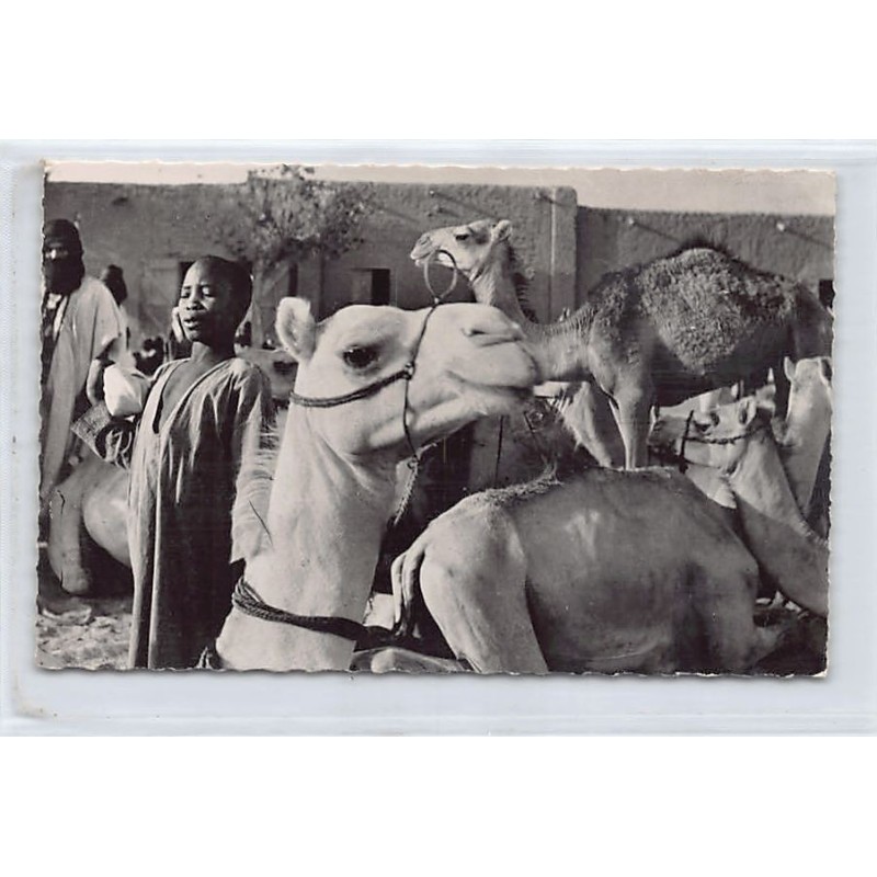 Rare collectable postcards of MALI. Vintage Postcards of MALI