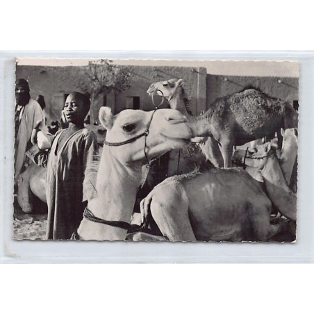 Rare collectable postcards of MALI. Vintage Postcards of MALI