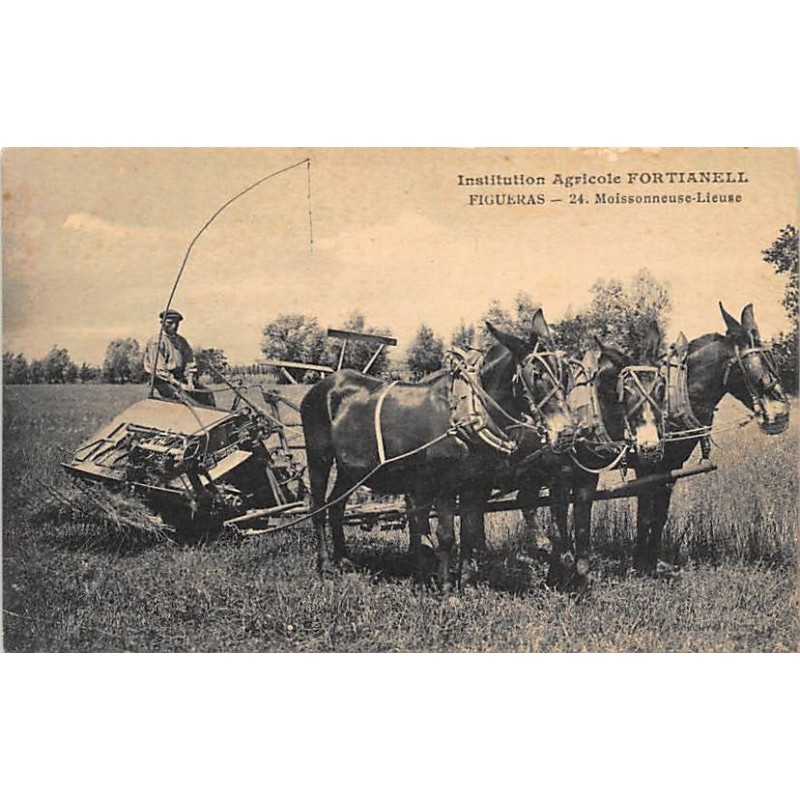 Rare collectable postcards of SPAIN. Vintage Postcards of SPAIN