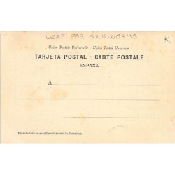 Rare collectable postcards of SPAIN. Vintage Postcards of SPAIN