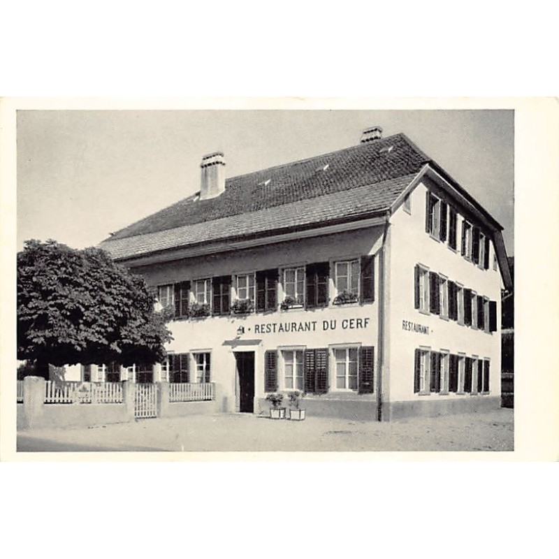 Rare collectable postcards of SWITZERLAND Suisse Schweiz Svizzera. Vintage Postcards of SWITZERLAND Suisse Schweiz Svizzera