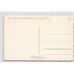 Rare collectable postcards of SWITZERLAND Suisse Schweiz Svizzera. Vintage Postcards of SWITZERLAND Suisse Schweiz Svizzera