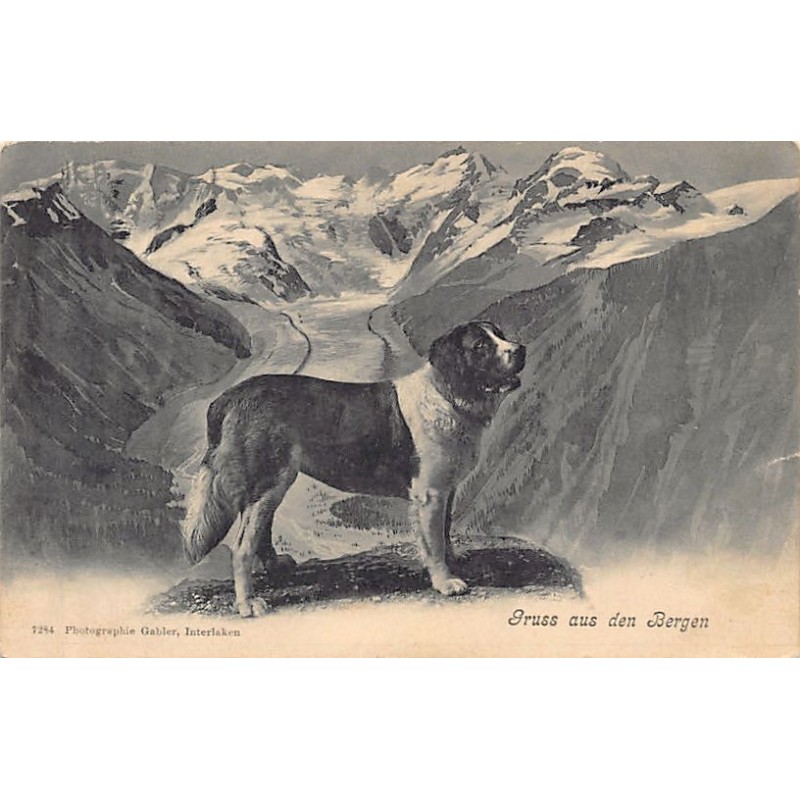 Rare collectable postcards of SWITZERLAND Suisse Schweiz Svizzera. Vintage Postcards of SWITZERLAND Suisse Schweiz Svizzera