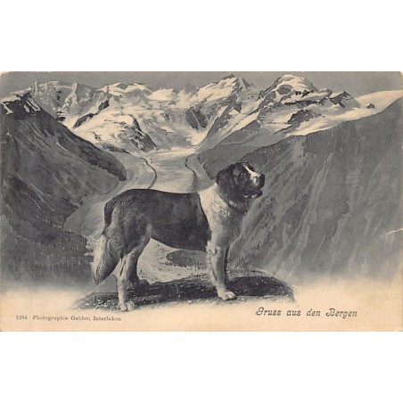 Rare collectable postcards of SWITZERLAND Suisse Schweiz Svizzera. Vintage Postcards of SWITZERLAND Suisse Schweiz Svizzera
