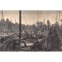 Rare collectable postcards of SWITZERLAND Suisse Schweiz Svizzera. Vintage Postcards of SWITZERLAND Suisse Schweiz Svizzera